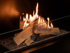 Bruciatore a bioetanolo Planika FLOGS Burner, design elegante in acciaio con fiamma visibile e superficie moderna.