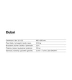 Biocamino Dubai di Tecno Air System, camino a bioetanolo con design moderno e finiture eleganti.